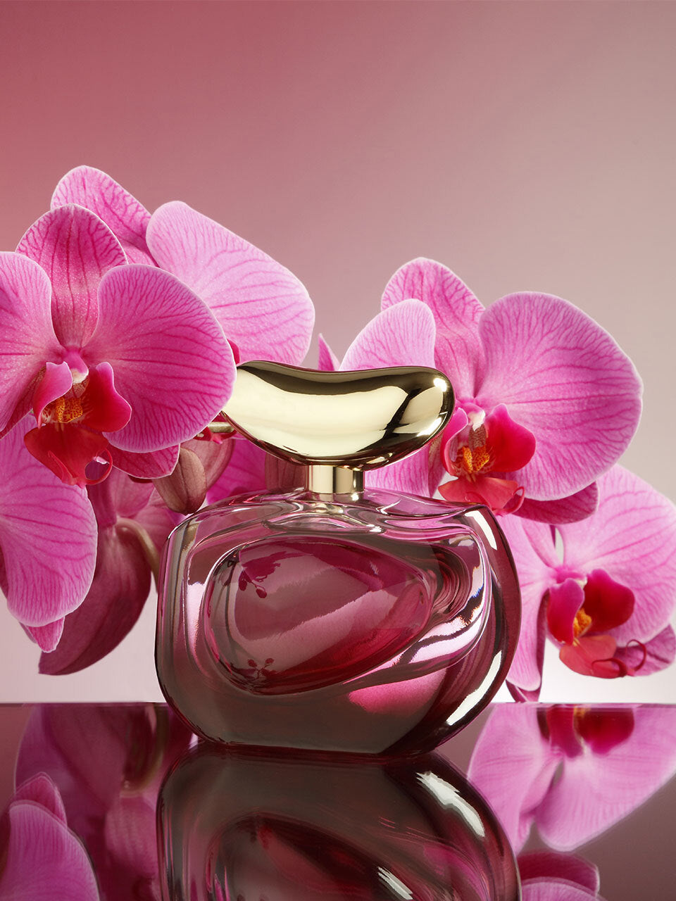 Illuminare Intensa 3.4 oz Eau de Parfum Spray - Image 2